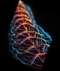 科学家首次成功培育出“人类脊柱”