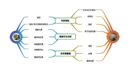 “金刚”为何灭绝?他们用八年破解“悬案”5