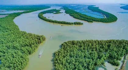 红树林何以“风景这边独好”1