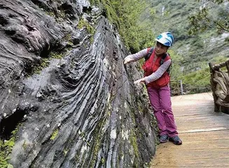 在哀牢山科考近20年一天经历四季,也曾迷路过2