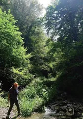 在哀牢山科考近20年一天经历四季,也曾迷路过3