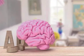 脑袋大的孩子一定聪明?1