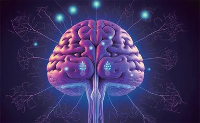 科学家培育出“迷你大脑”最终会产生意识吗?1