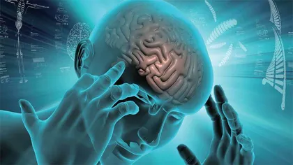 脑组织被切掉一块会怎样?2