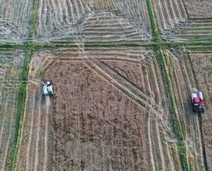 后稷之志,绽放高原4