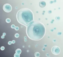 高压氧治疗：突破时空壁垒，重塑细胞活力