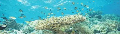 比三亚还美的海岛城市99.9%的国人没去过1