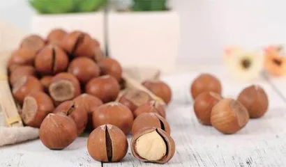 硬坚果大功效3