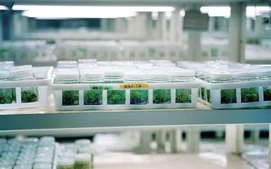 科技部调查结果显示青年科研人员减负有效果2