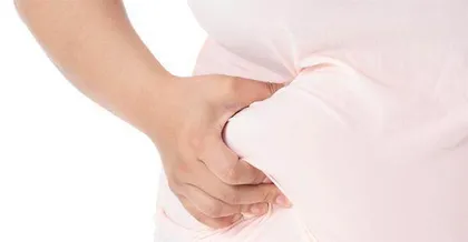 女性皮下脂肪能保护大脑