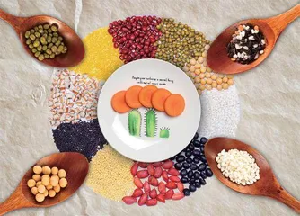 低碳饮食减少癫痫发作