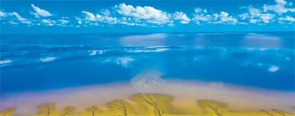 大美湿地 和谐共生1