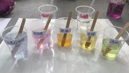是酸还是碱?植物会偷偷告诉你1