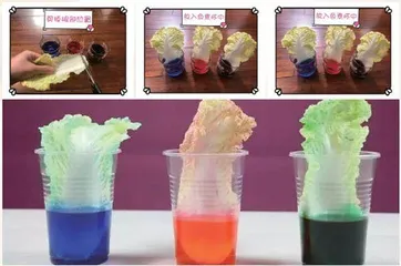 真神奇!让孩子脑洞大开的科学小实验3