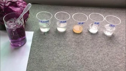 是酸还是碱?植物会偷偷告诉你2