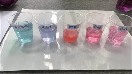 是酸还是碱?植物会偷偷告诉你3