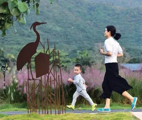 深圳湿地生长记1