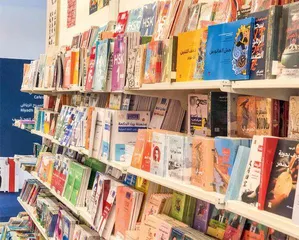 《灯笼山》 的跨文化对话:壮族民间故事如何走进阿拉伯儿童视野1