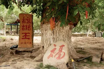 千年丝路印记：叶城的风物密码1