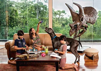 恐龙化石： 富豪的新宠，学界的担忧