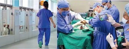 科技赋能，开启智能养宠时代1