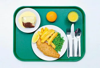 全球病号餐大比拼1