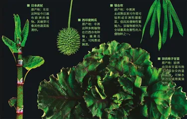 一盘彩色：好看，又好吃1