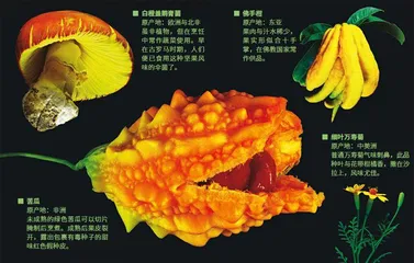 一盘彩色：好看，又好吃2