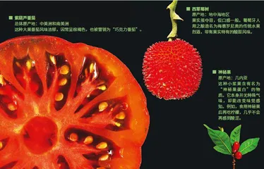 一盘彩色：好看，又好吃3
