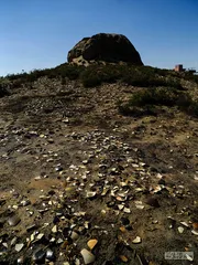 苏峪口，西夏瓷器新发现6