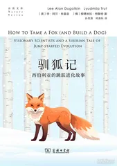 《驯狐记》，制造人类的新朋友3