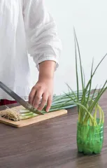 再生种植图鉴
