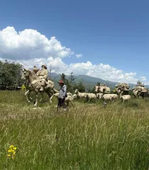 云端牧歌那拉提的游牧新章 8