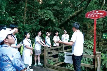 团情导航2