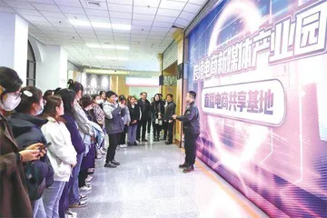 以青年担当赋能市域经济“联电”提速