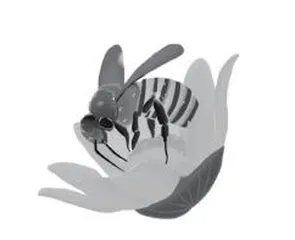 为爱“蜂”狂