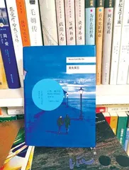 当宏大驶过微渺