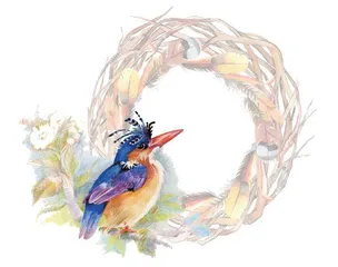 鸟窝