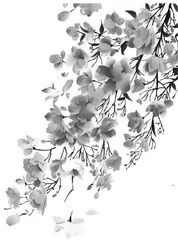 《诗经》 弃妇诗研究综述1