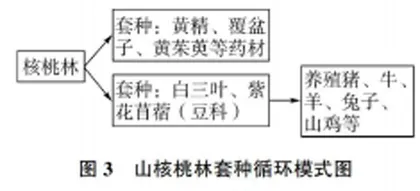 “境脉”式教学在高中地理专题复习课中的应用4