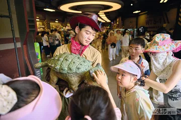 “十三妹”接梗记1