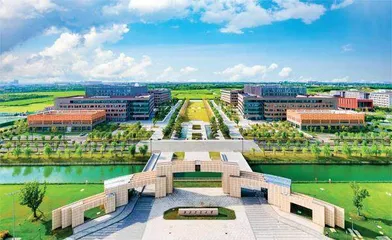 “后城”崛起8
