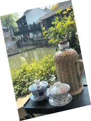 Part1圆桌派：“不想长大”是“病”吗2