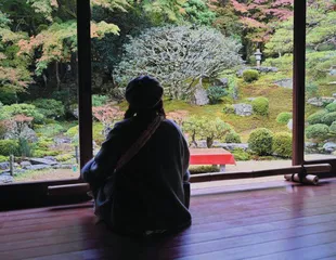 遭遇信心冲击的文科青年：世界还需要人文吗？5