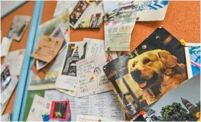 保值人生：寻找你的生活优先级5