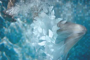温绮雯：纸间漂流，奔赴未知的海6