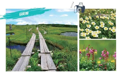 立山黑部：被收藏在初夏的冬天4