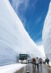 立山黑部：被收藏在初夏的冬天5