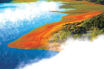 带你走进龙江湿地
