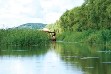 带你走进龙江湿地3